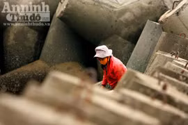Mưu sinh trên vùng biển lạnh