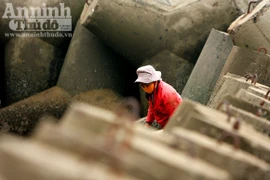 Mưu sinh trên vùng biển lạnh