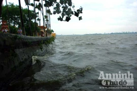 Cứu “Nàng Tây thi” của Hà Nội, muộn còn hơn không