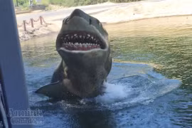 Tận xem công nghệ phim trường Hollywood (I): Cá mập trắng dọa du khách