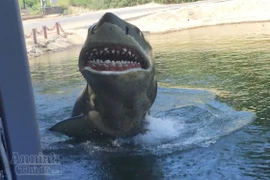 Tận xem công nghệ phim trường Hollywood (I): Cá mập trắng dọa du khách