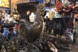 Gà đồng giả cổ cao cả mét, giá hàng chục triệu đồng
