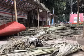 Phố ông đồ hối hả dựng lều chõng 