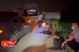 8 đối tượng ngoại tỉnh gây ra hàng loạt vụ trộm dây cáp viễn thông