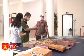 Phát hiện hơn 4.000 bánh Trung thu nhập lậu sắp được đưa đi tiêu thụ