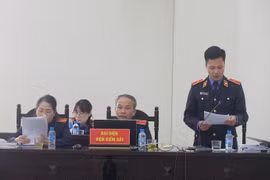 Xét xử vụ Gang thép Thái Nguyên: Viện kiểm sát không chấp nhận việc chuyển đổi tội danh 