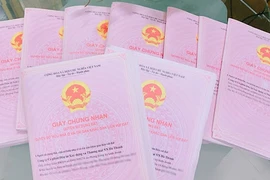 Hàng loạt cá nhân bị “cò” làm “sổ đỏ” lừa tiền