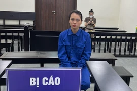 Sử dụng giấy tờ giả lừa bán cổ phần lớp mầm non tư thục