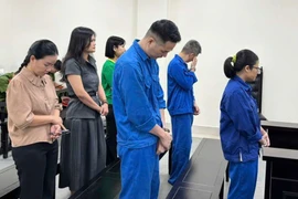 “Nữ quái” lừa mua bán biệt thự và ổ nhóm cho vay lãi nặng lĩnh án