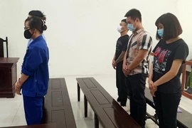 Nhóm đối tượng chiếm đoạt tiền tỷ bằng hồ sơ vay vốn điện tử bị phạt tù