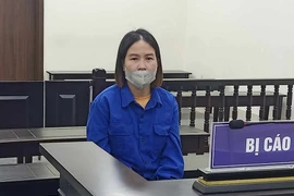 Dụ góp vốn buôn mỹ phẩm lợi nhuận cao để chiếm đoạt hơn 12 tỷ đồng