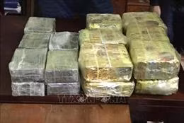 Lái xe taxi cất giấu ma túy tinh vi vẫn không thoát