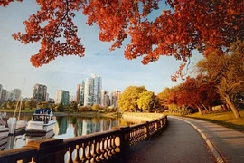 Tổ chức cho người khác trốn ra nước ngoài bằng thủ đoạn tinh vi