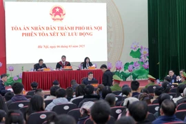 Án phạt nghiêm khắc dành cho các đối tượng “thổi giá” tại phiên đấu giá đất huyện Sóc Sơn 