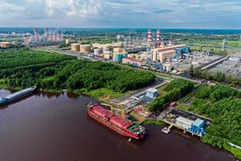 Tỉnh Cà Mau kiến nghị tăng cường huy động điện từ Nhà máy điện Cà Mau 1&2