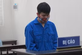 Giám đốc Công ty Taiyo Japan bị đề nghị tăng án phạt tù do lừa đảo