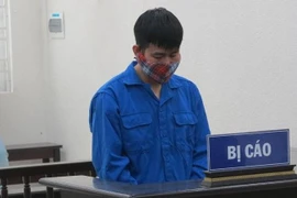 Giám đốc Công ty Taiyo Japan bị đề nghị tăng án phạt tù do lừa đảo