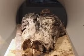 Pháp nghiên cứu cơ thể một nữ quý tộc... 359 tuổi