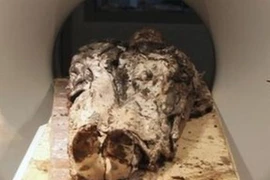 Pháp nghiên cứu cơ thể một nữ quý tộc... 359 tuổi