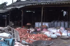 Thực phẩm bẩn – Nỗi lo dịp tết