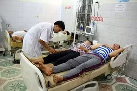 Ăn nấm rừng, 10 người bị ngộ độc