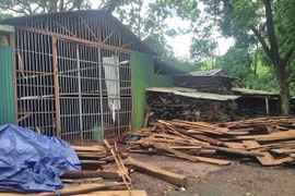 Chướng mắt xưởng cưa giữa lòng di tích quốc gia chùa Trăm Gian