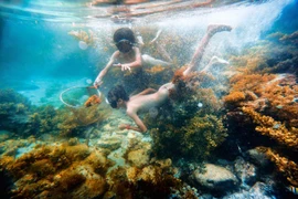 Đất và người trên quê hương Hải đội Hoàng Sa