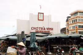 Dừa sáp Trà Vinh