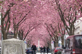 Điểm nhấn thu hút khách du lịch