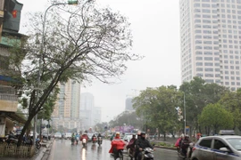 Đồng bộ cây xanh tạo nên những tuyến phố văn minh