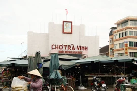 Dừa sáp Trà Vinh