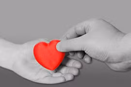 Hoa gì không úa tàn?