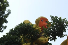 Ngắm "đàn khỉ" siêu ngộ nghĩnh ở đường hoa Hùng Vương