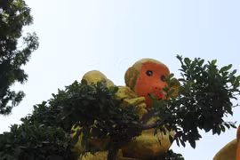 Ngắm "đàn khỉ" siêu ngộ nghĩnh ở đường hoa Hùng Vương