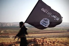 Bị phạt tù 2 năm vì có cờ IS