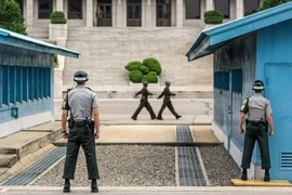 Lại có thêm vụ đào thoát hy hữu từ Triều Tiên sang Hàn Quốc