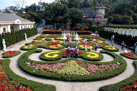 Du ngoạn thiên đường hoa Bà Nà Hills