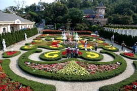 Du ngoạn thiên đường hoa Bà Nà Hills