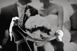 Phụ nữ tái hôn: Chim sợ cành cong