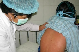 Nhiều bệnh nhân nguy kịch do côn trùng đốt