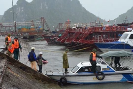 Bão số 3 đổ bộ Quảng Ninh, nguy cơ ngập lụt