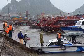 Bão số 3 đổ bộ Quảng Ninh, nguy cơ ngập lụt