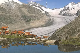 Ai “giết” những dòng sông băng?