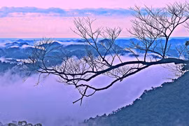 Tháng Tám đi qua những cung đường cách mạng