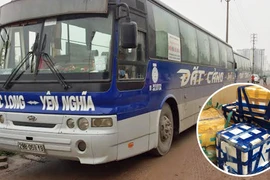 Cá tầm, ba ba lậu “tái xuất”