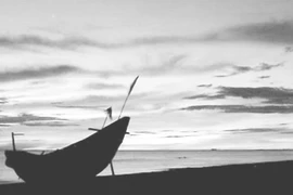 Bẫy còng gió, săn bạch tuộc biển đêm Cửa Việt