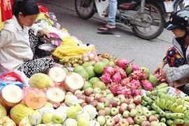 Quá sợ, hoa quả để nửa năm không hỏng