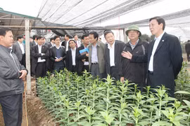 Chủ tịch UBND TP kiểm tra sản xuất 