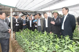 Chủ tịch UBND TP kiểm tra sản xuất 