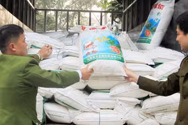 5 tấn mì chính không rõ nguồn gốc